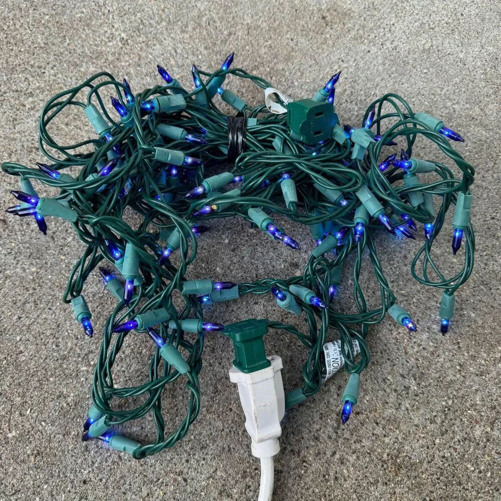 bundle of 10 indoor outdoor blue string lights